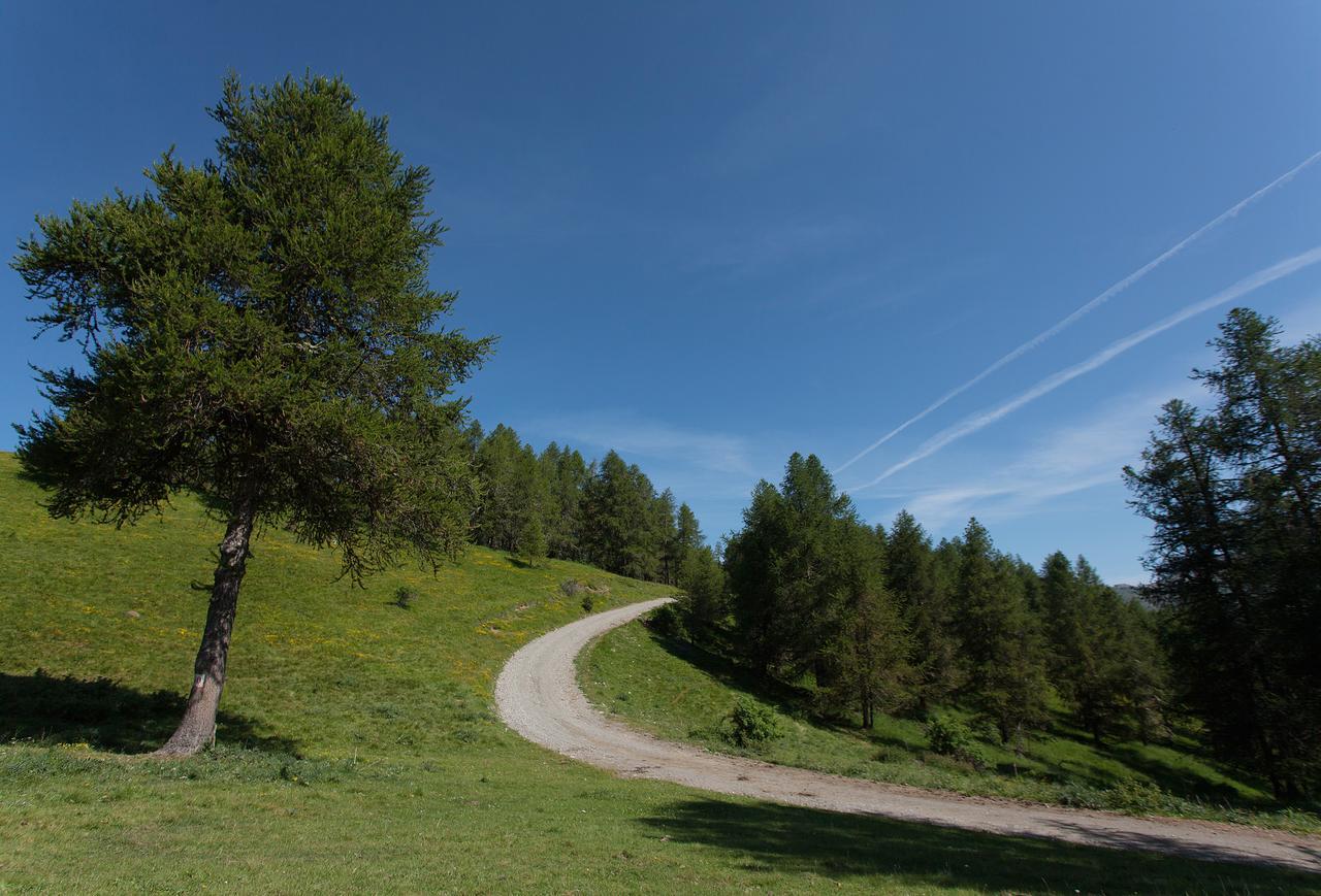 Les Hauts Des Auches Ancelle Exterior photo